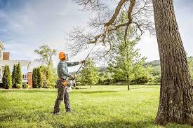 Best Lawn Mowing  in Miami, AZ