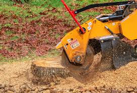 Best Emergency Tree Removal  in Miami, AZ